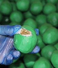 U.S. Customs and Border Protection found nearly 4,000 pounds of marijuana camouflaged within a shipment of key limes in Pharr, Texas. 