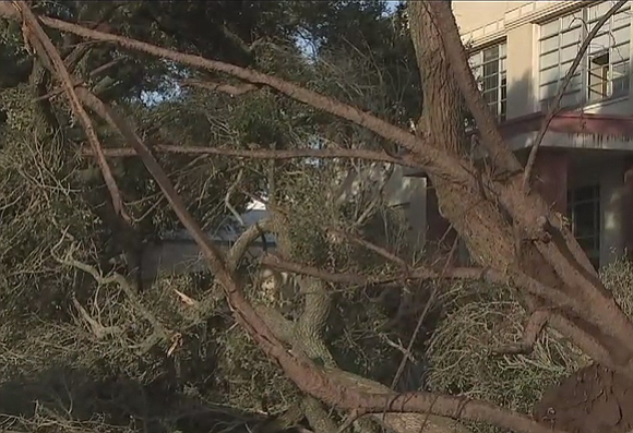 With the way trees were toppling over around Wharton, they had to hit something. They did—fences and power lines. But …