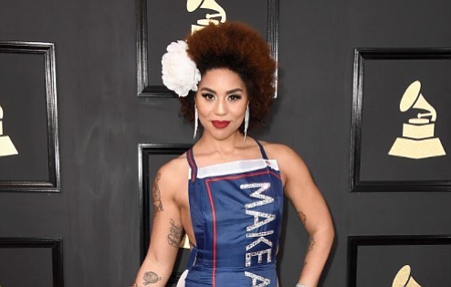 Who is Joy Villa and why did she wear a dress that paid homage to President Donald Trump at the …
