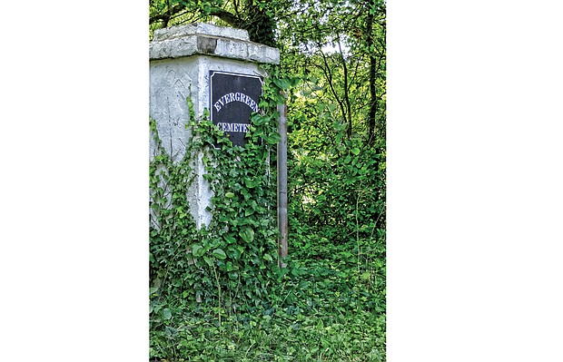 Vines cover the entry pillar to Evergreen Cemetery in this June 28, 2016, photo. The scene exemplifies the condition of much of the 60-acre burial ground despite efforts of volunteers to control wild plants. State funding will help supporters better maintain the historic graveyard. Location: Stony Run Parkway in Richmond’s East End. 