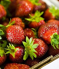 Americans eat nearly 8 pounds of fresh strawberries per person each year, and even when they are rinsed in the field and washed before eating, they are still most likely to be contaminated with pesticide residue, according to the Environmental Working Group.