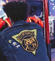 Pintail Power Rangers