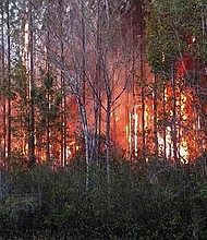 	Officials in Florida say a fire that burned several homes was caused by a man burning paperback books on Wednesday, March 22, 2017.