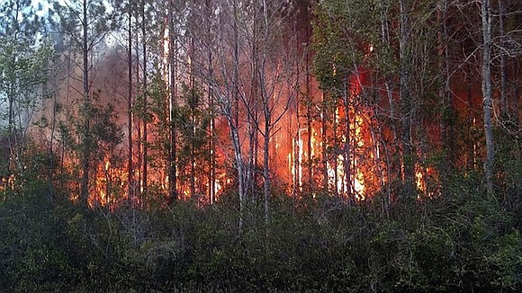 At least 10 homes in Nassau County, Florida, were destroyed in a wildfire caused by a man who was burning …