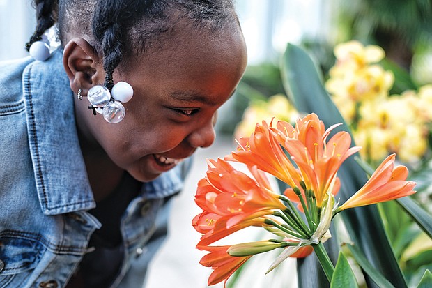 Smelling the flowers //
Aliyah Martin, 7, stops to smell a fire lily inside the Conservatory at Lewis Ginter Botanical Garden last Saturday during the Date with Dad event sponsored by the nonprofit Girls for a Change. Please see more photos, B2.
