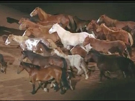 A beautiful tribute to bucking horses has proven to be a popular addition to RodeoHouston each night, even bringing some …