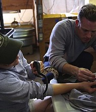 33 reptiles are dead at Knoxville Zoo - and herpetologists don't know why