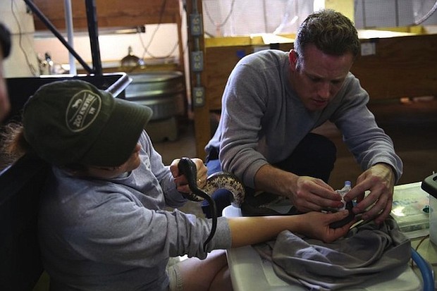 33 reptiles are dead at Knoxville Zoo - and herpetologists don't know why