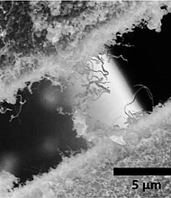 Silicon carbide nanotubes attached to separate silicon carbide fibers, used by NASA, entangle each other in this electron microscope image. The material created at Rice University is intended for a ceramic composite that would make rocket engines stronger, lighter and better able to withstand extreme heat. (Credit: Ajayan Research Group/Rice University)