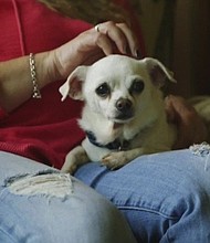 	Monkey's House is a nonprofit hospice for terminally ill dogs.