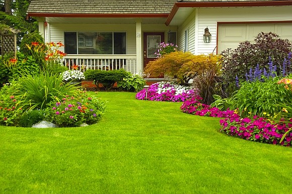 You might be taking a summer vacation this year, but did you know your living landscape (grass, trees, shrubs, and …