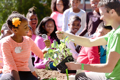 School gardens have proven to be more than just a trend, and the blossoming health and education benefits that go ... School gardens have proven to be more than just a trend, and the blossoming health and education benefits that go ...