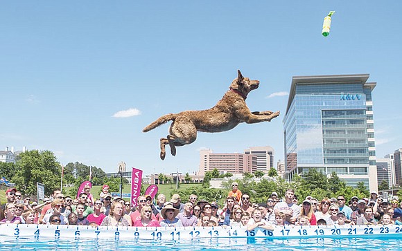 Dominion Riverrock returns this weekend with a fresh sampling of fun, games, live music and athletic competitions on the riverfront.