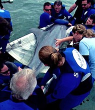 Wave Breaker: The Rescue Coaster 