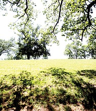 Shady spot at Maymont 