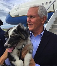 VP Pence was surprised with a dog and cat by his family for Father's Day./@VPPressSec/ Twitter