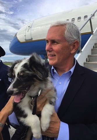 The country let out a collective "awww" nine days ago, when news broke that one of Vice President Mike Pence's …