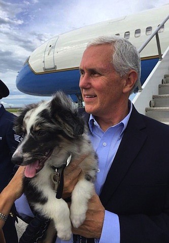 VP Pence was surprised with a dog and cat by his family for Father's Day./@VPPressSec/ Twitter