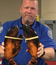 TSA agent with live lobster
