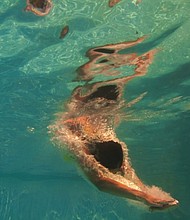 Despite its name, you don't have to spend time at a beach or in a pool to pick up swimmer's ear. This condition can happen after you take a shower or bath, or you simply clean your ears with cot