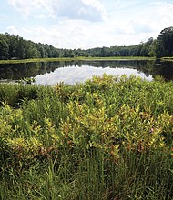 Tranquil scene in Pocahontas State Park