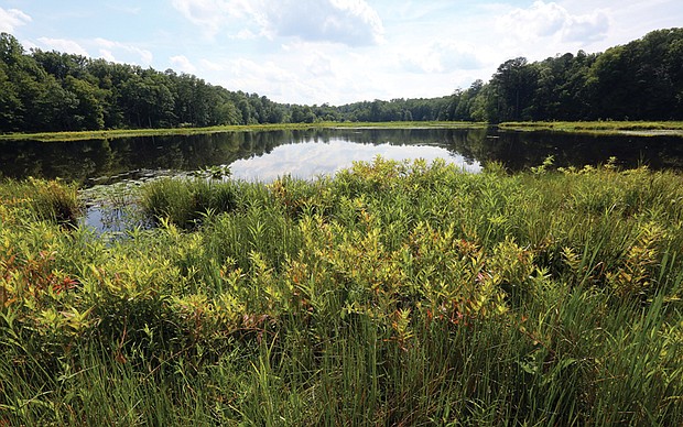 Tranquil scene in Pocahontas State Park