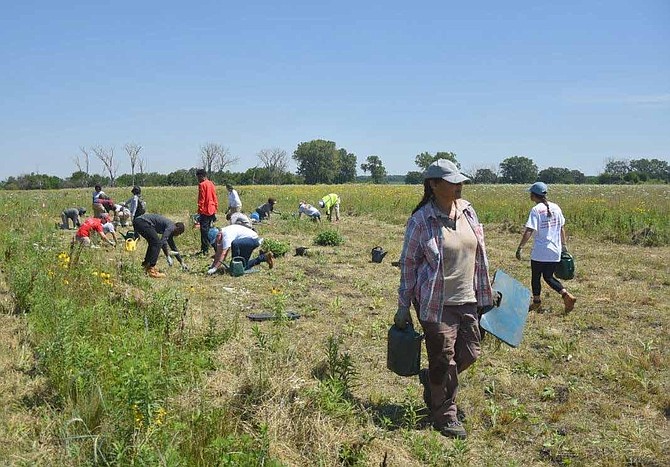 Exelon’s Midewin Youth Corps (MYC) program gives North Lawndale College Prep students the opportunity to work and experience a new environment on Midewin National Tallgrass Prairie preserve in Will County.