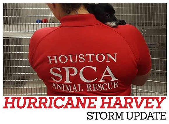 I will keep this short, but I wanted to update you on the animals that have been impacted by Hurricane …