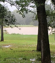 As floodwater recedes from Hurricane Harvey and people recover their homes, landscapes also will need to be watched for signs of stress, said Stephen Brueggerhoff, Texas A&M AgriLife Extension Service agent for horticulture in Brazoria County. (Texas A&M AgriLife photo by Kathleen Phillips)