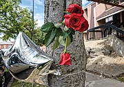 Roses and a balloon form a memorial Ms. Knight put up in memory of Mr. Eley.