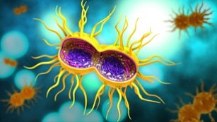 In 2016, Americans were infected with more than 2 million new cases of gonorrhea, syphilis and chlamydia, the highest number …