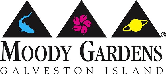 Moody Gardens’ Education Center will once again host “Growing Together,” a seven-part series designed to help people living with the …