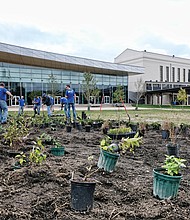 Dominion Energy volunteers install hundreds of pollinator native plants at the Science Museum of Virginia to attract pollinators that will help fuel the Richmond area’s food supply.