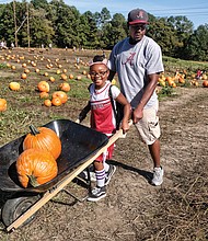 Pumpkin picking //
Alivia Henson, 9, and her stepfather, Allen Oldum, use a wheelbarrow to haul their pick of pumpkins at The Pumpkin Patch at Gallmeyer Farms in Eastern Henrico last Saturday. The family was getting ready for Halloween. Varieties of pumpkins grown at the farm range from 1 pound to more than 100 pounds, perfect for jack-o-lanterns or pie.