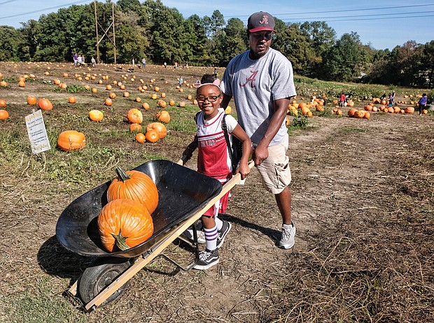 Pumpkin picking //
Alivia Henson, 9, and her stepfather, Allen Oldum, use a wheelbarrow to haul their pick of pumpkins at The Pumpkin Patch at Gallmeyer Farms in Eastern Henrico last Saturday. The family was getting ready for Halloween. Varieties of pumpkins grown at the farm range from 1 pound to more than 100 pounds, perfect for jack-o-lanterns or pie.