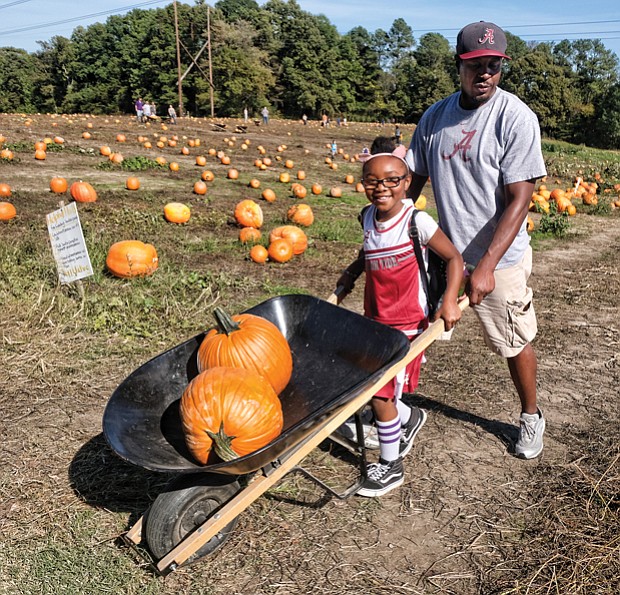 Pumpkin picking //
Alivia Henson, 9, and her stepfather, Allen Oldum, use a wheelbarrow to haul their pick of pumpkins at The Pumpkin Patch at Gallmeyer Farms in Eastern Henrico last Saturday. The family was getting ready for Halloween. Varieties of pumpkins grown at the farm range from 1 pound to more than 100 pounds, perfect for jack-o-lanterns or pie.