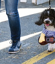 Getting in character //
The street was blocked off between Broad and Leigh streets as hundreds of people enjoyed the free event, featuring food, music and, of course, costumes. Children, adults and event pets were dressed for the occasion. Harper, a four-legged friend of a festivalgoer, was ready with his guitar, above, for the Pet Costume Contest. The festival, presented by Food Lion, also drew notables, including Mayor Levar M. Stoney and Gov. Terry McAuliffe.  
