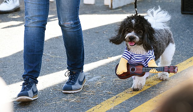 Getting in character //
The street was blocked off between Broad and Leigh streets as hundreds of people enjoyed the free event, featuring food, music and, of course, costumes. Children, adults and event pets were dressed for the occasion. Harper, a four-legged friend of a festivalgoer, was ready with his guitar, above, for the Pet Costume Contest. The festival, presented by Food Lion, also drew notables, including Mayor Levar M. Stoney and Gov. Terry McAuliffe.  
