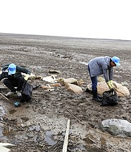 GM Shanghai supports a national nature reserve through volunteerism./credit gm.com