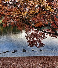 Tranquil fall scene in Byrd Park