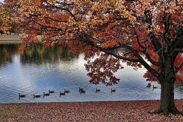 Tranquil fall scene in Byrd Park