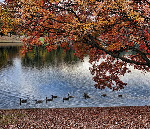 Tranquil fall scene in Byrd Park