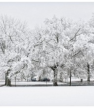 Wintry scene in Byrd Park 