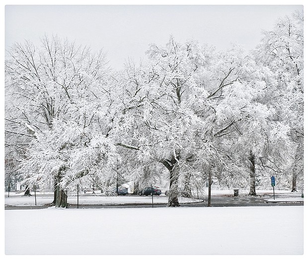 Wintry scene in Byrd Park 