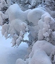 Erie, Pennsylvania, had a total of 34 inches of snow on Christmas Day, blanketing the city and shattering the city's previous records for snowfall in a single day.