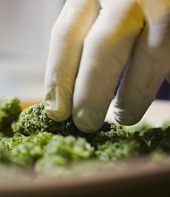 The prevalence of marijuana use among a sample of moms-to-be in California climbed from 4.2% to 7.1% from 2009 through 2016, according to a research letter published in the journal JAMA on Tuesday, December 26, 2017.