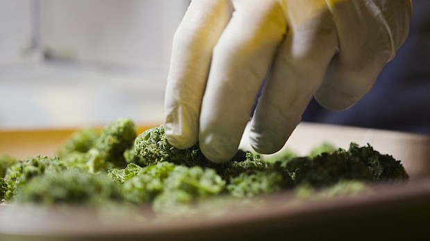 The prevalence of marijuana use among a sample of moms-to-be in California climbed from 4.2% to 7.1% from 2009 through 2016, according to a research letter published in the journal JAMA on Tuesday, December 26, 2017.