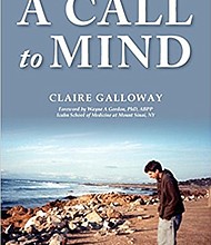 A Call to Mind: A Story of Undiagnosed Childhood Traumatic Brain Injury (Brandylane Publishers, 2017, ISBN: 978-1-939-93094-1, $16.95) is available at bookstores nationwide and from all major online booksellers.