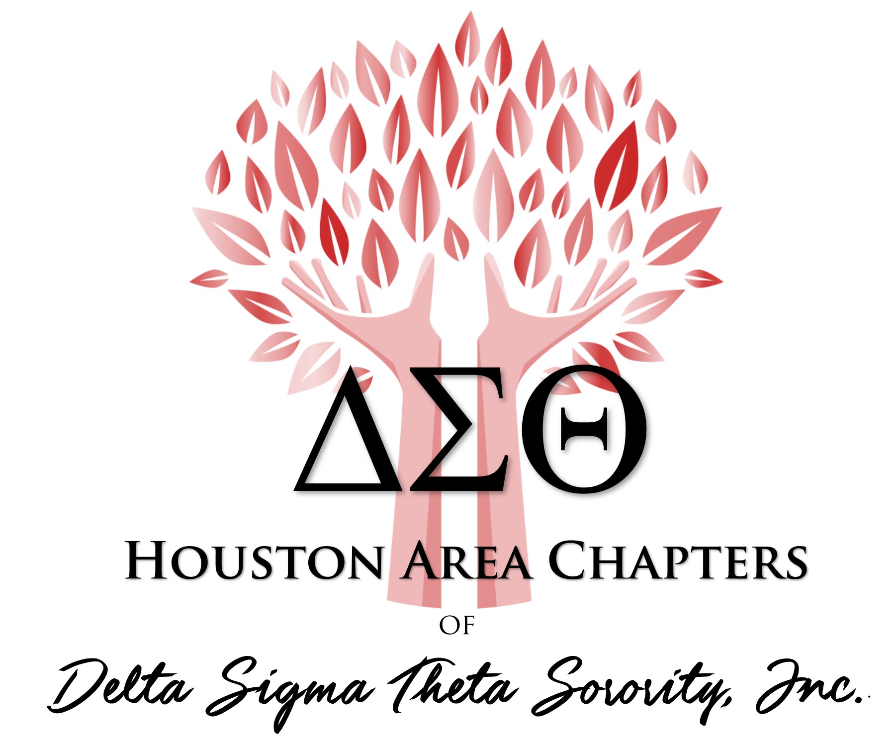 Houston Area Chapters Of Delta Sigma Theta Sorority Inc Partner To Houston Area Chapters Of Delta Sigma Theta Sorority Inc Partner To