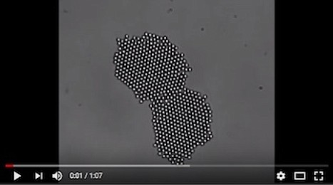 Particles rotated in a spinning magnetic field of 11 gauss and 20 Hz merge and reorganize themselves to quench a grain boundary, which is forced to the outside of the array and eventually eliminated. (Credit: Video by the Biswal Lab)
